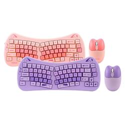 KIT INALAMBRICO DW66
